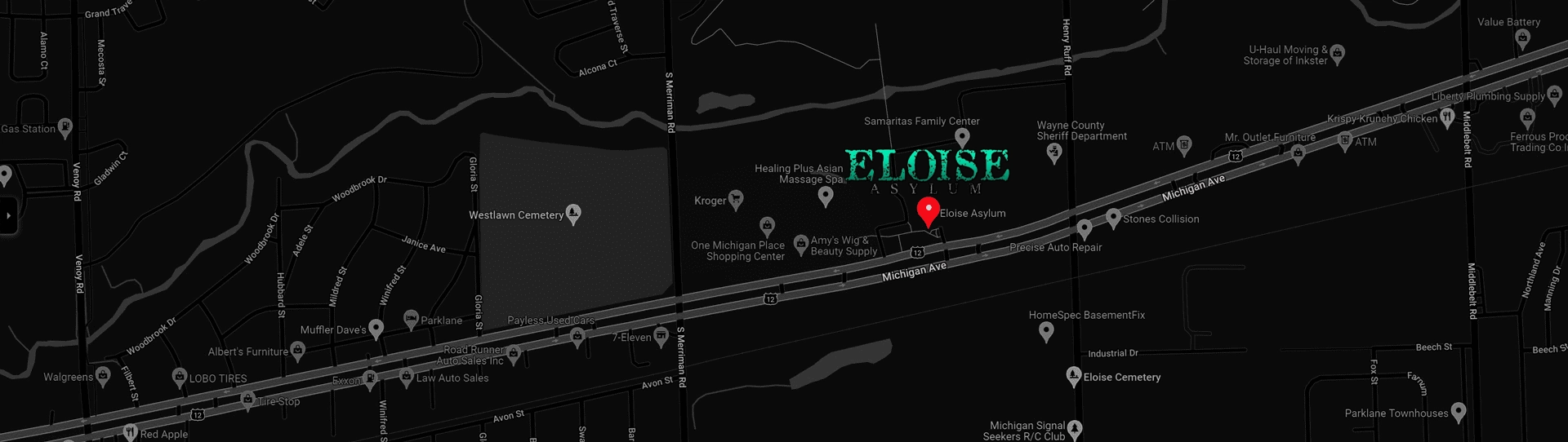 Map view highlighting Eloise Asylum area along Michigan Ave with a red pin marking its location